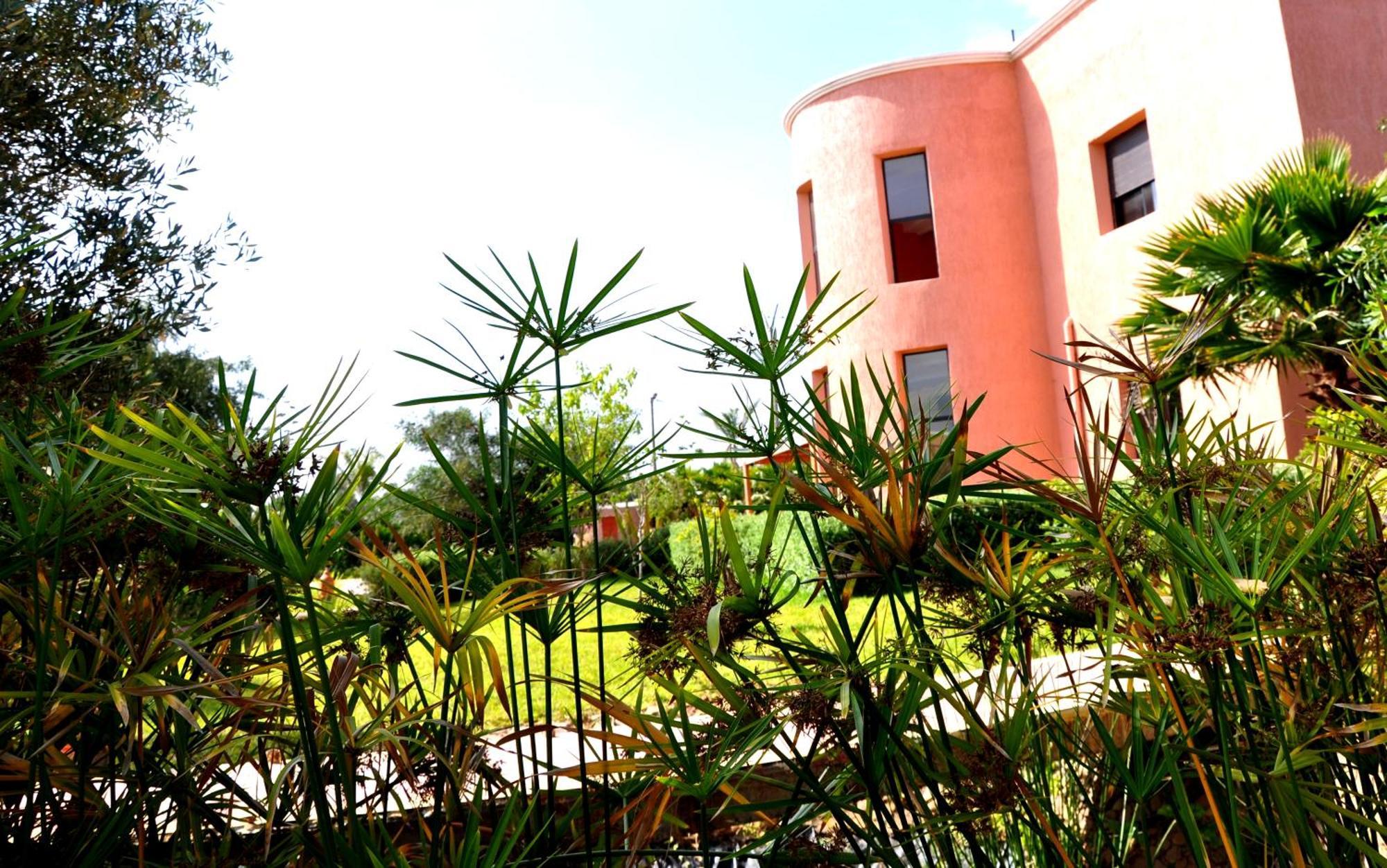 Riad Hamdani Derroua Luaran gambar