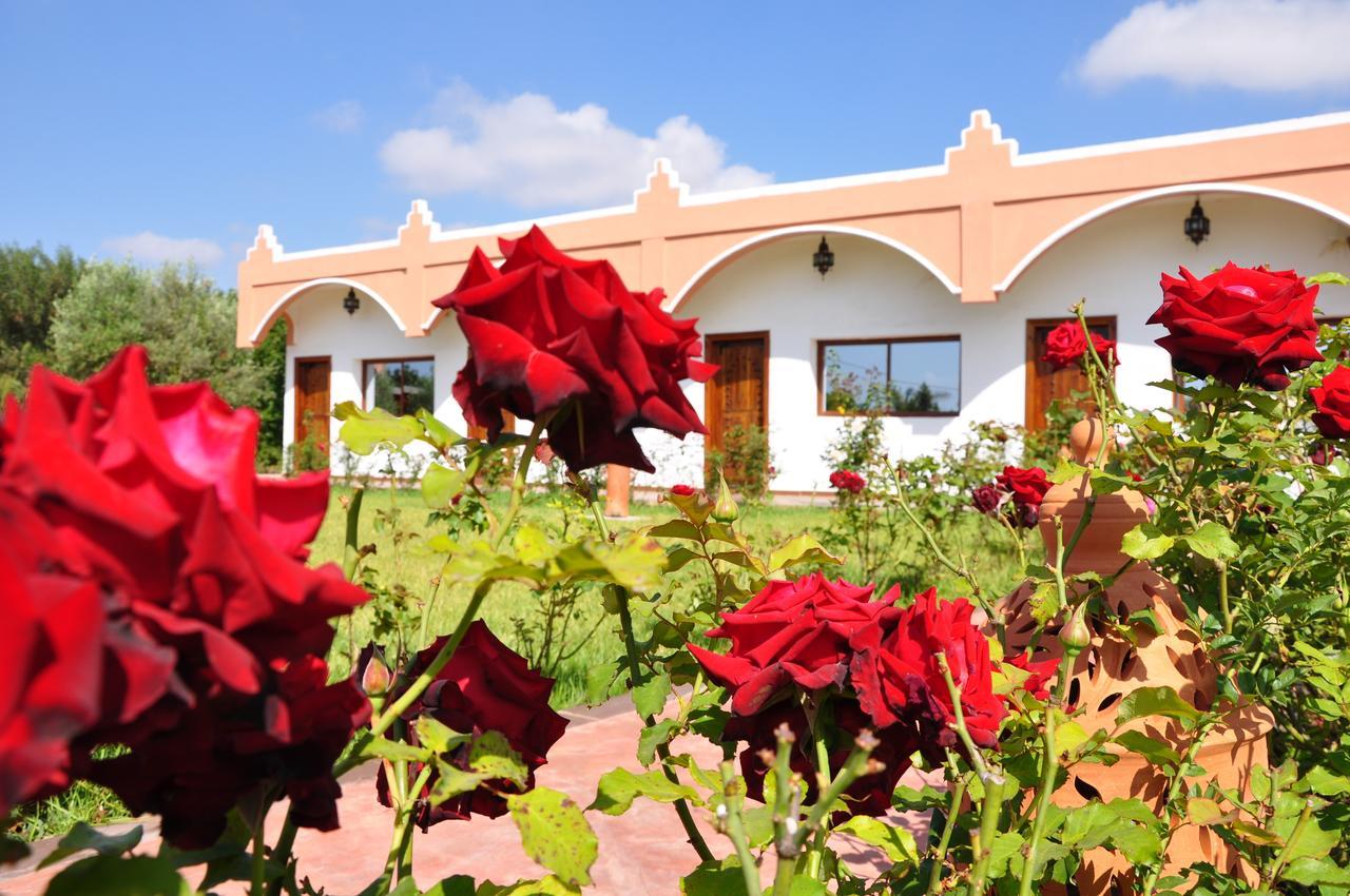Riad Hamdani Derroua Luaran gambar