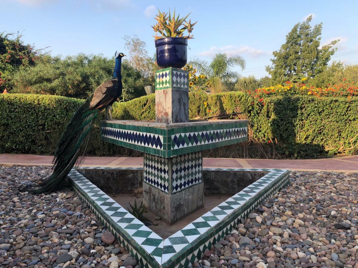 Riad Hamdani Derroua Luaran gambar