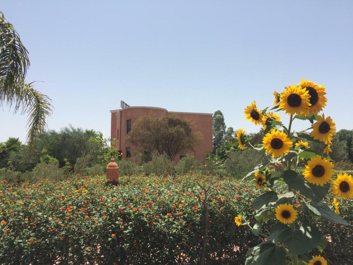 Riad Hamdani Derroua Luaran gambar